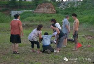 邯郸肥乡网友爆料新闻最新,惊现神秘事件,真相令人震惊!